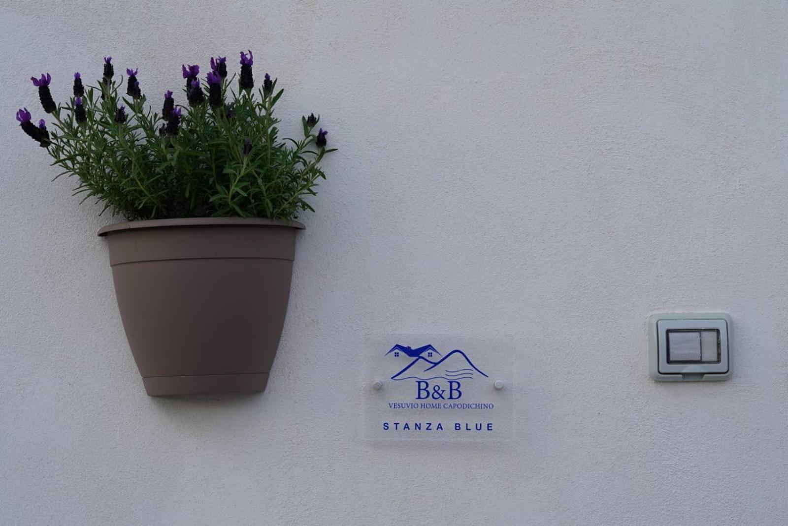Vesuvio Capodichino Blu Apartment